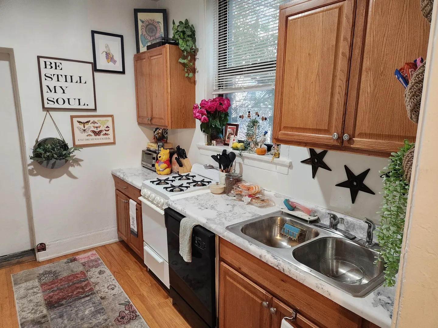 3950 N Fremont Street 1 IL