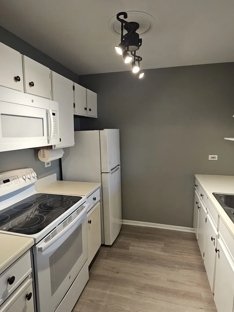 1354 Cunat Court 1B IL