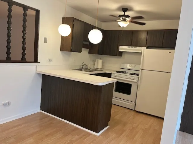 5733 W 103rd Street 1W IL