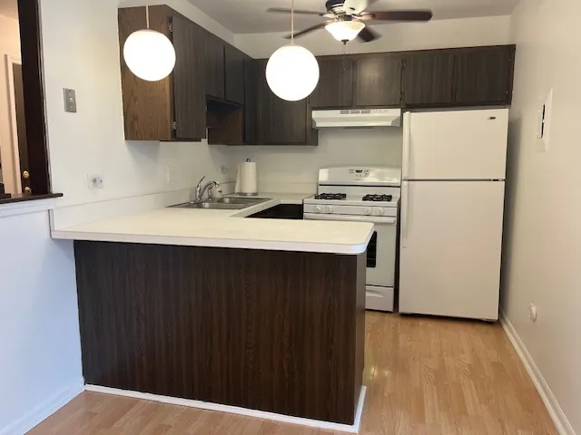 5733 W 103rd Street 1W IL