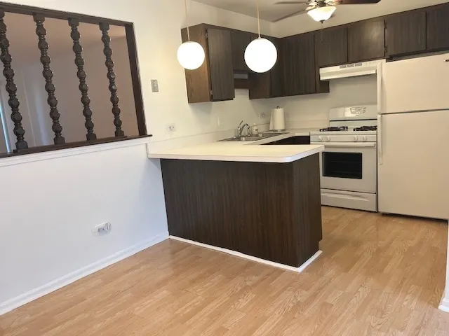 5733 W 103rd Street 1W IL