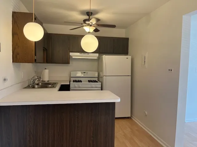 5733 W 103rd Street 1W IL
