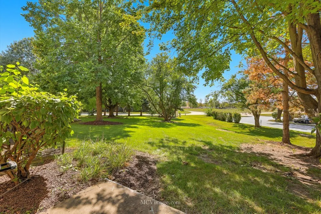 2824 Collins Court IL