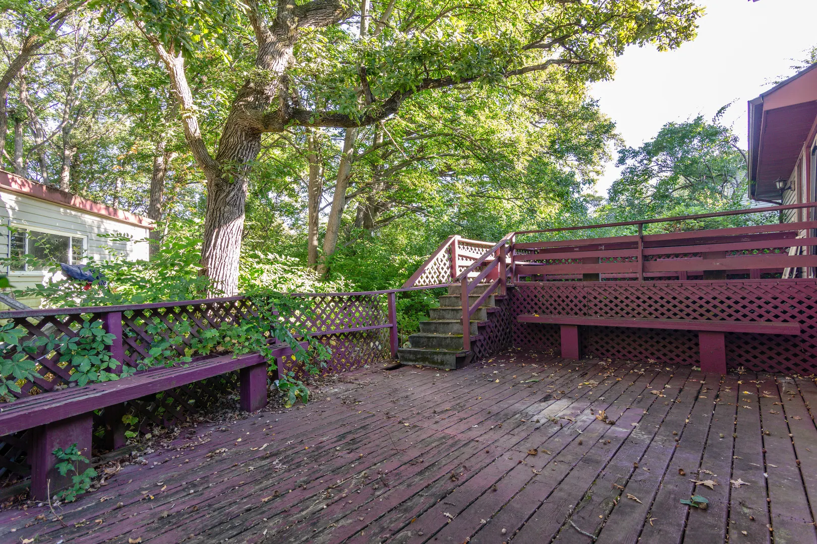 754 University Parkway IL