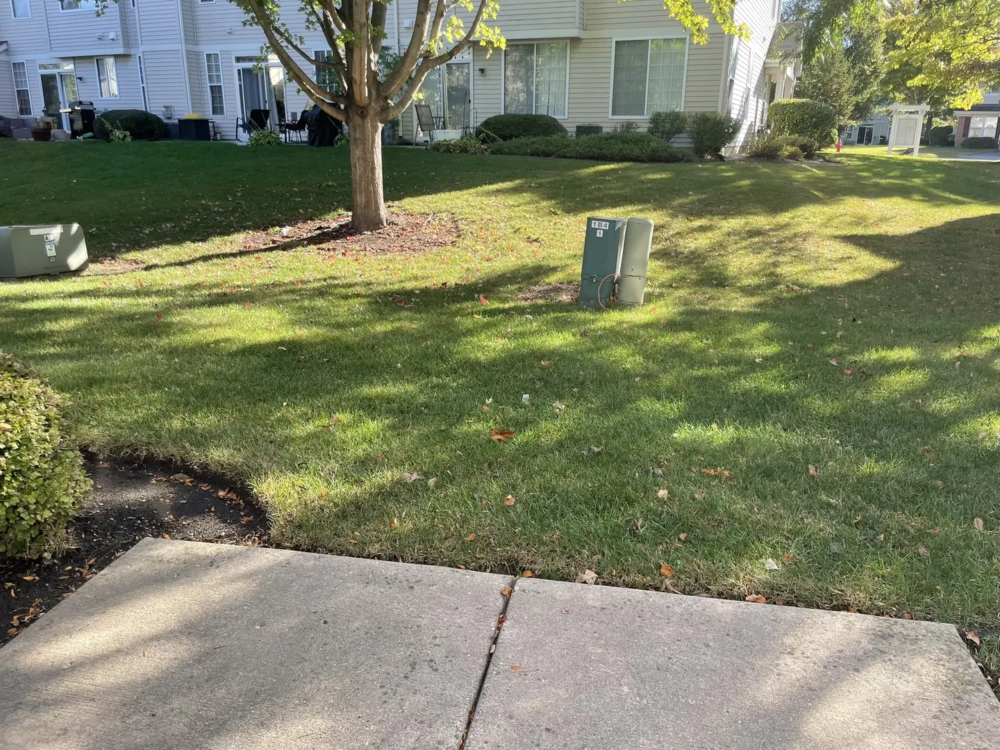 5611 Wildspring Drive IL