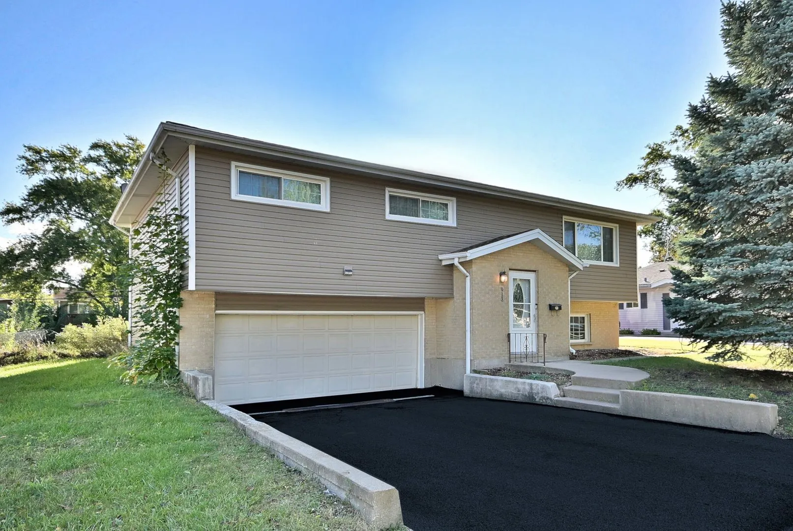 913 S Iowa Street IL