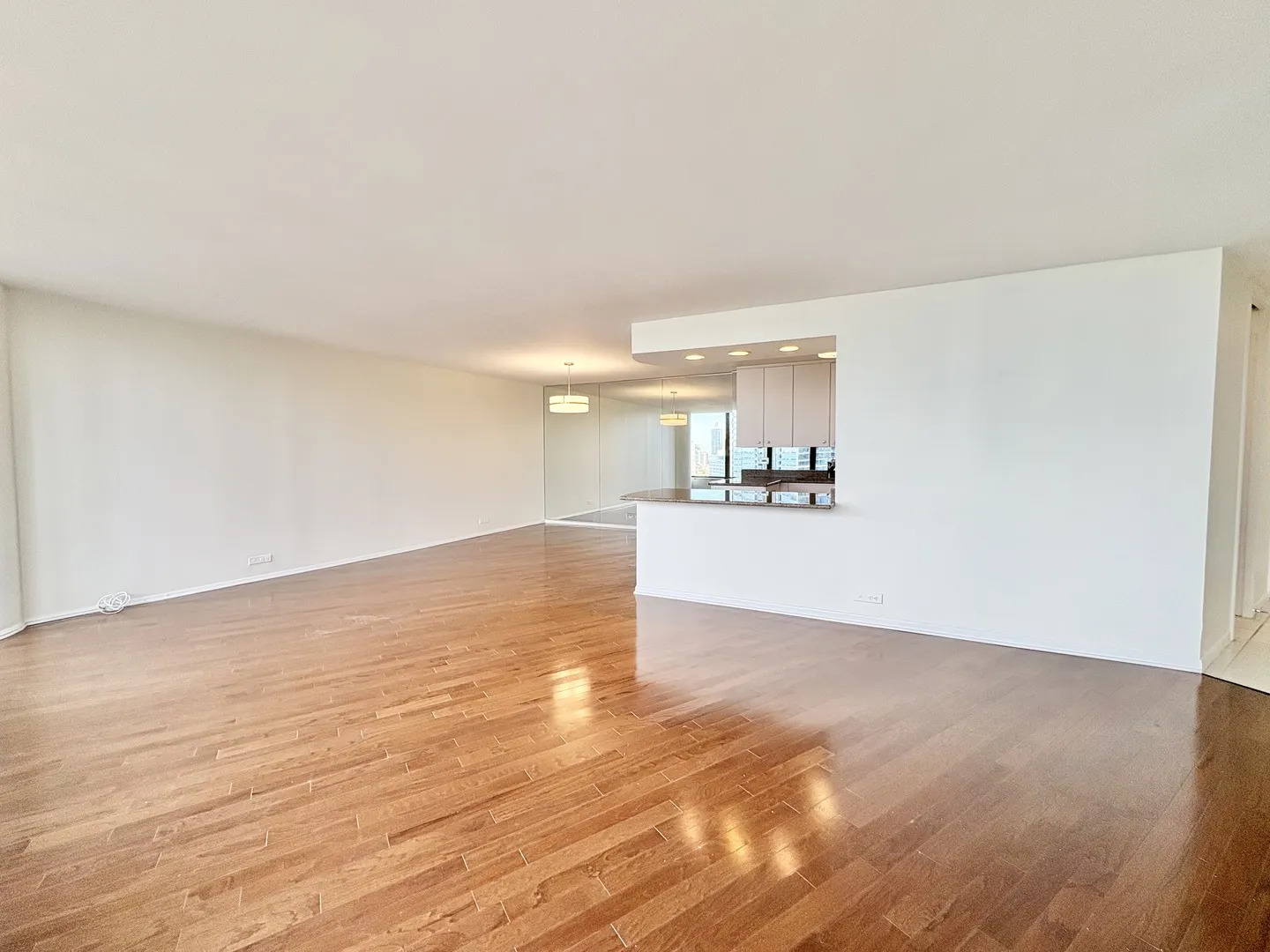 505 N LAKE SHORE Drive 3312 IL