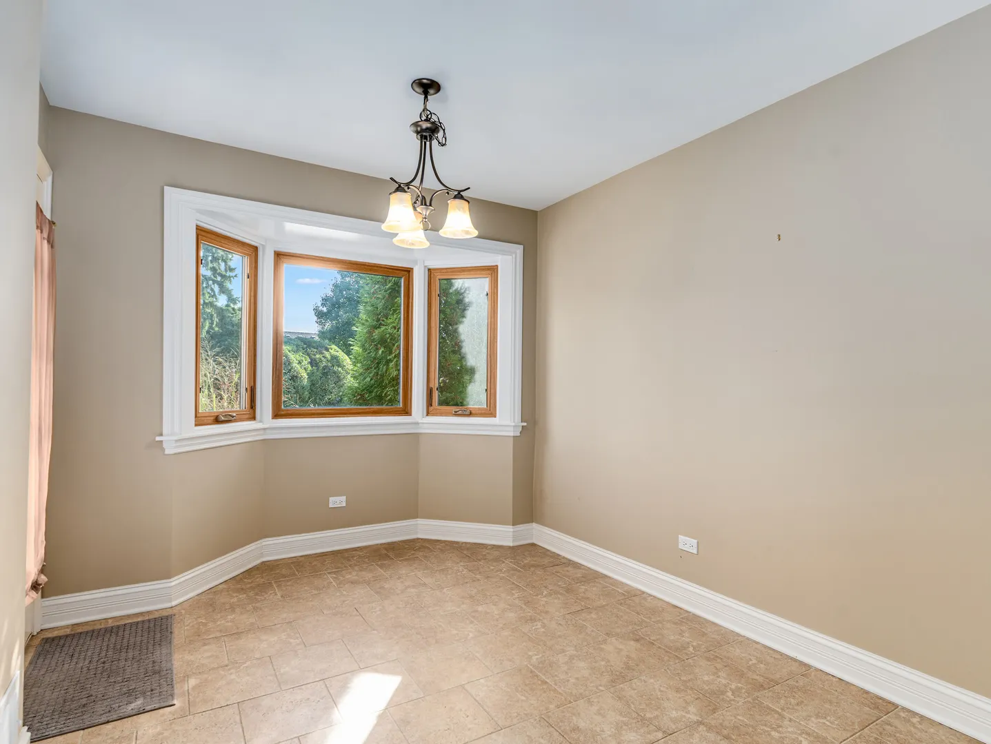 17105 Rochelle Lane IL