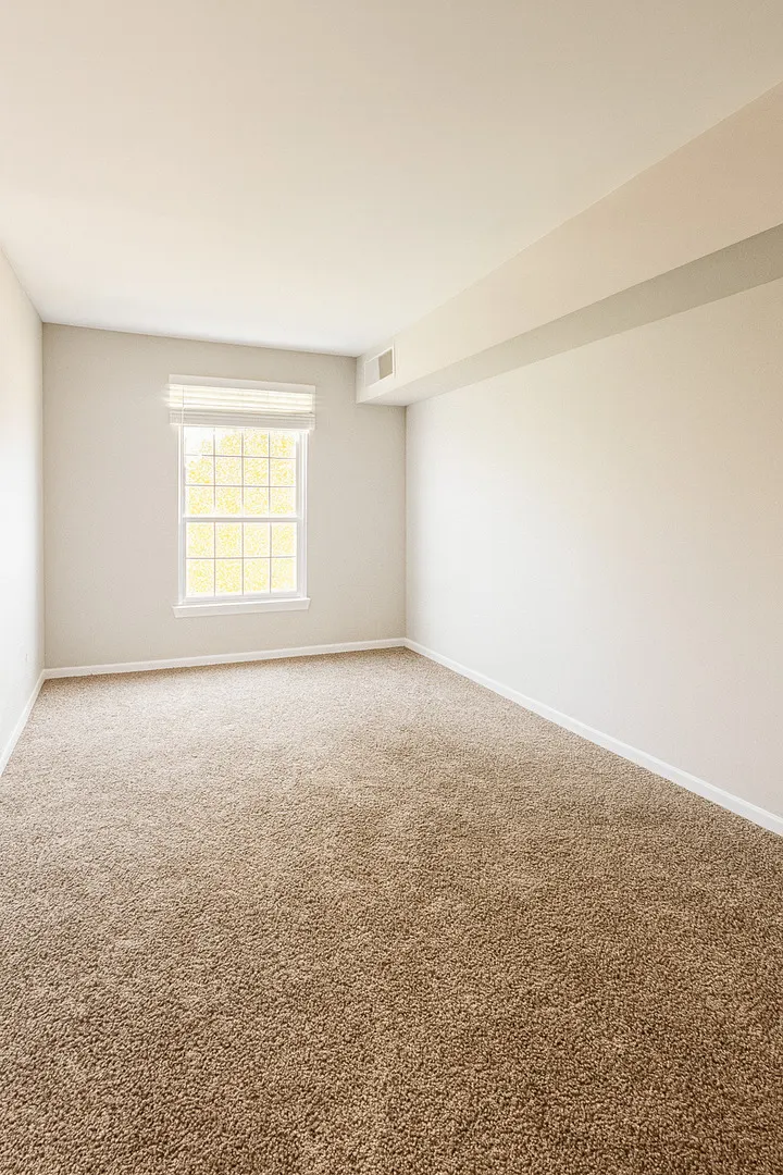 1100 N Plum Grove Road 313 IL