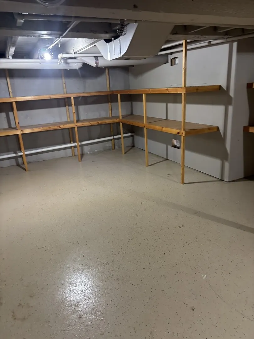 40 Mischa Court 100 IL