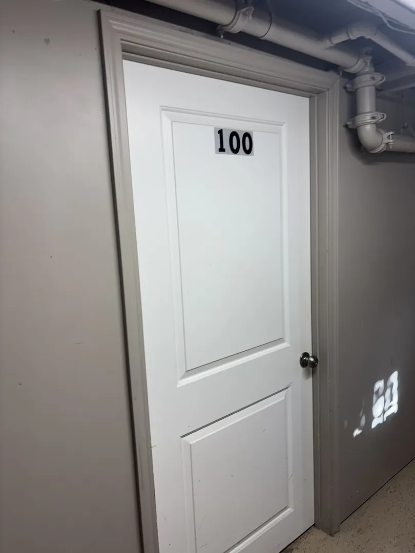 40 Mischa Court 100 IL