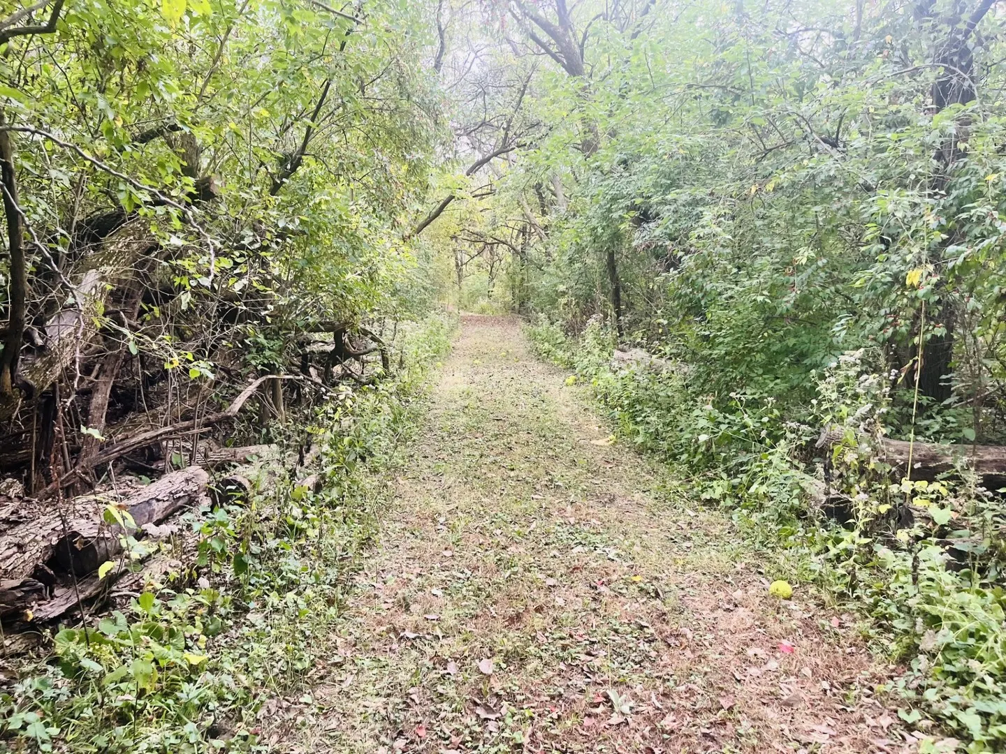 1994 N 2753rd Road IL