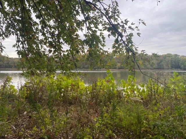 1994 N 2753rd Road IL