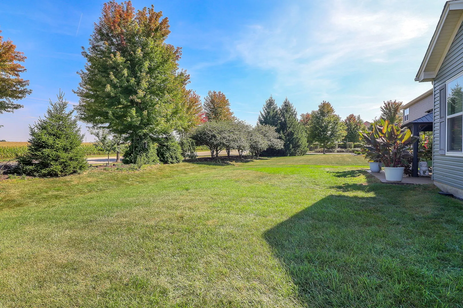 1002 Hudson Drive IL