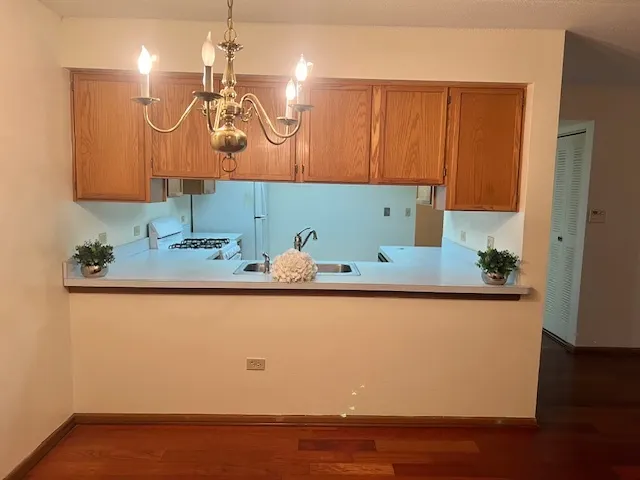 4222 W 77th Street 202 IL