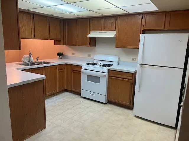 4222 W 77th Street 202 IL