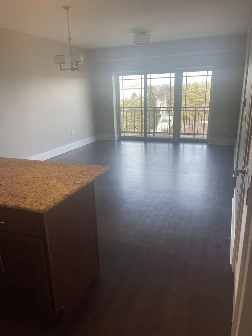 728 Diamond Lake Road 201 IL