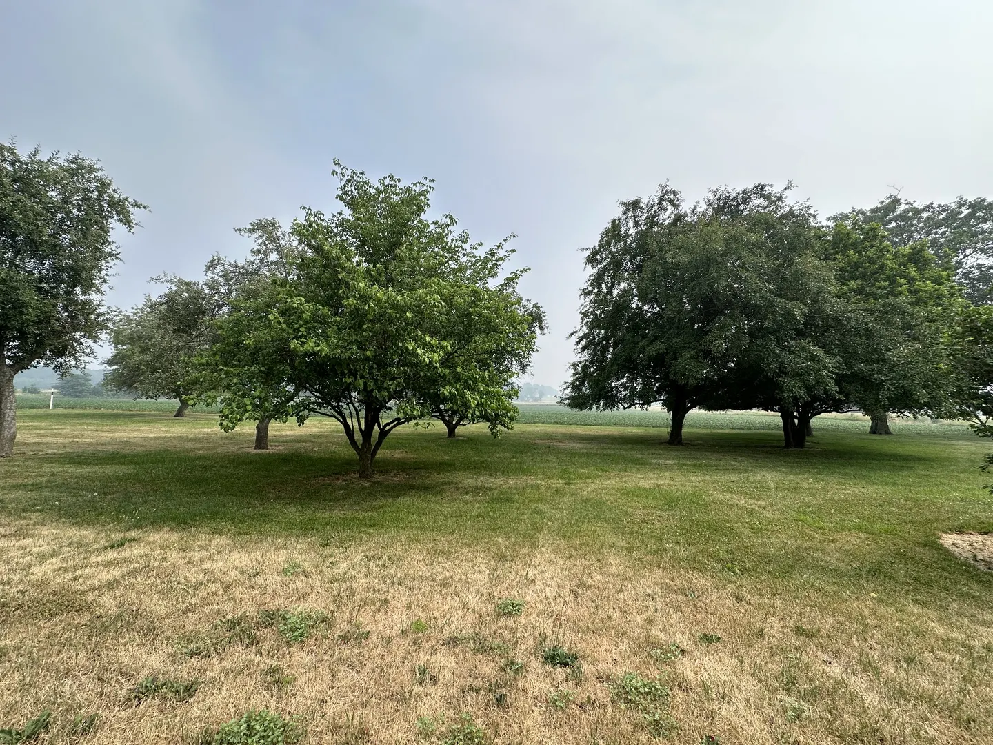 12454 Cracker Road IL