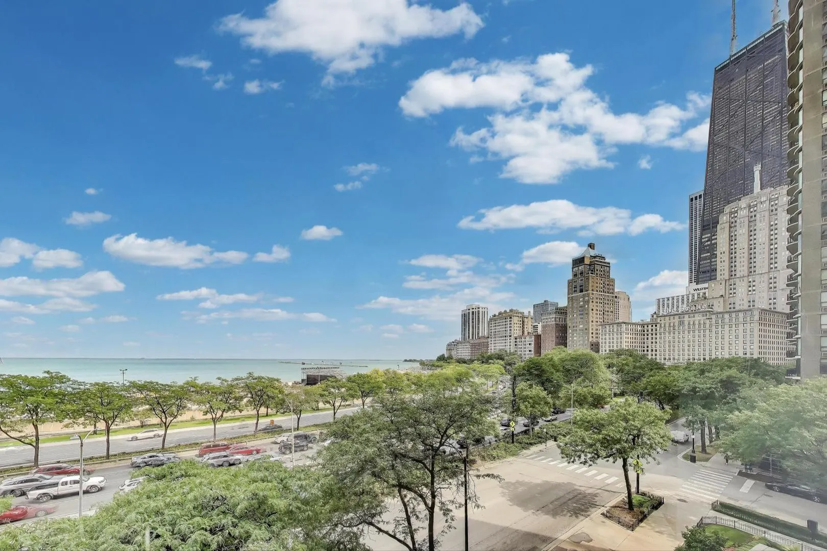 1110 N Lake Shore Drive 3N IL