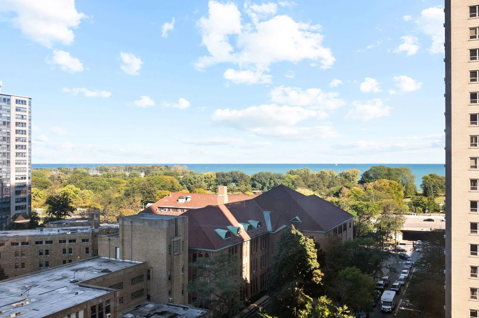 655 W IRVING PARK Road 1010 IL