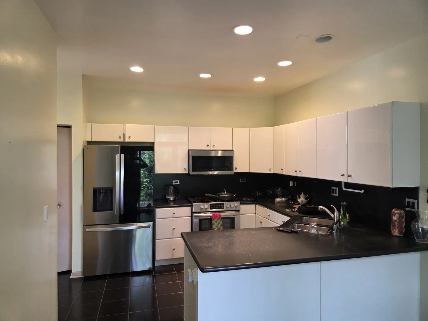1735 Park Ridge Point IL