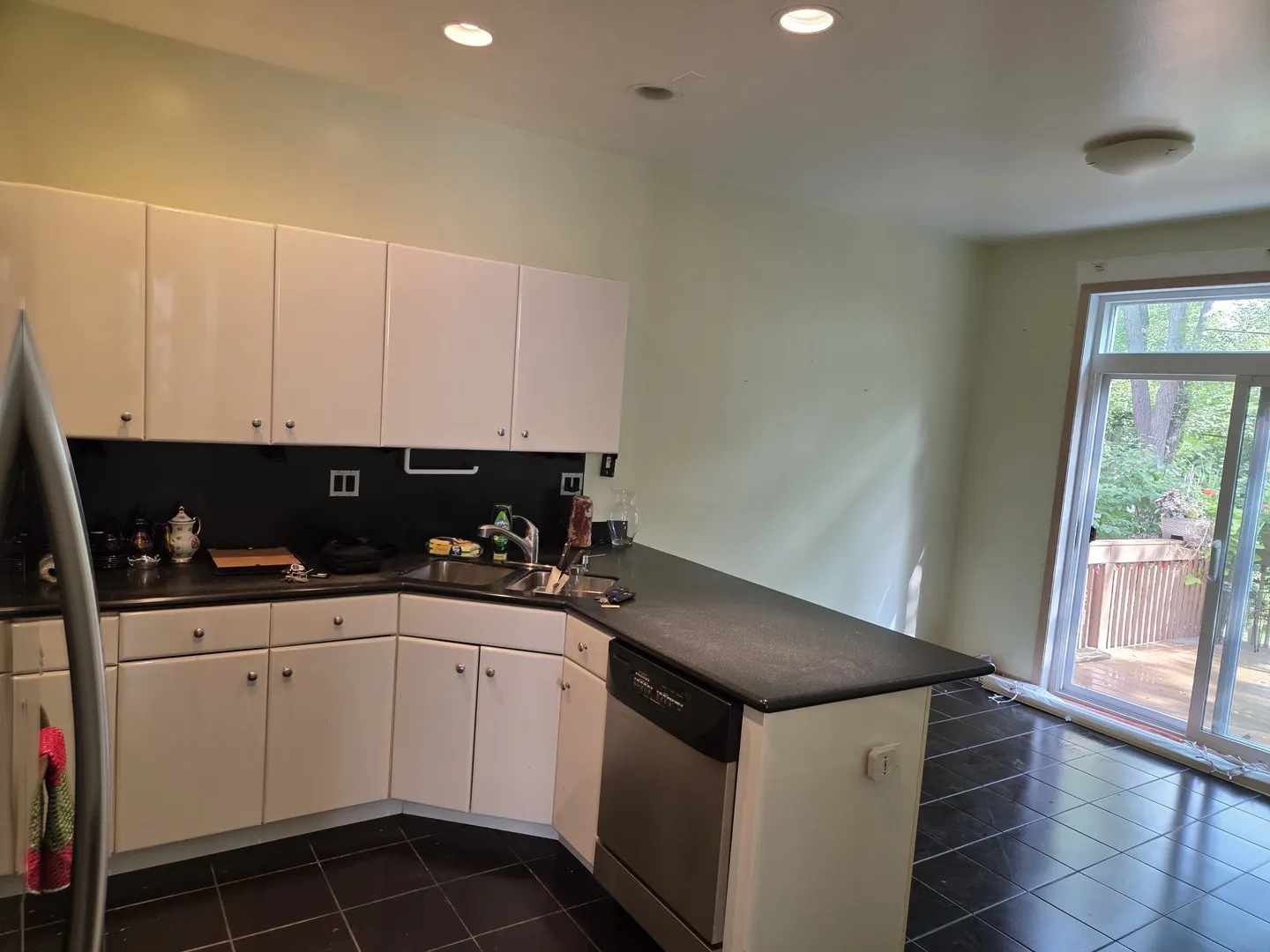 1735 Park Ridge Point IL