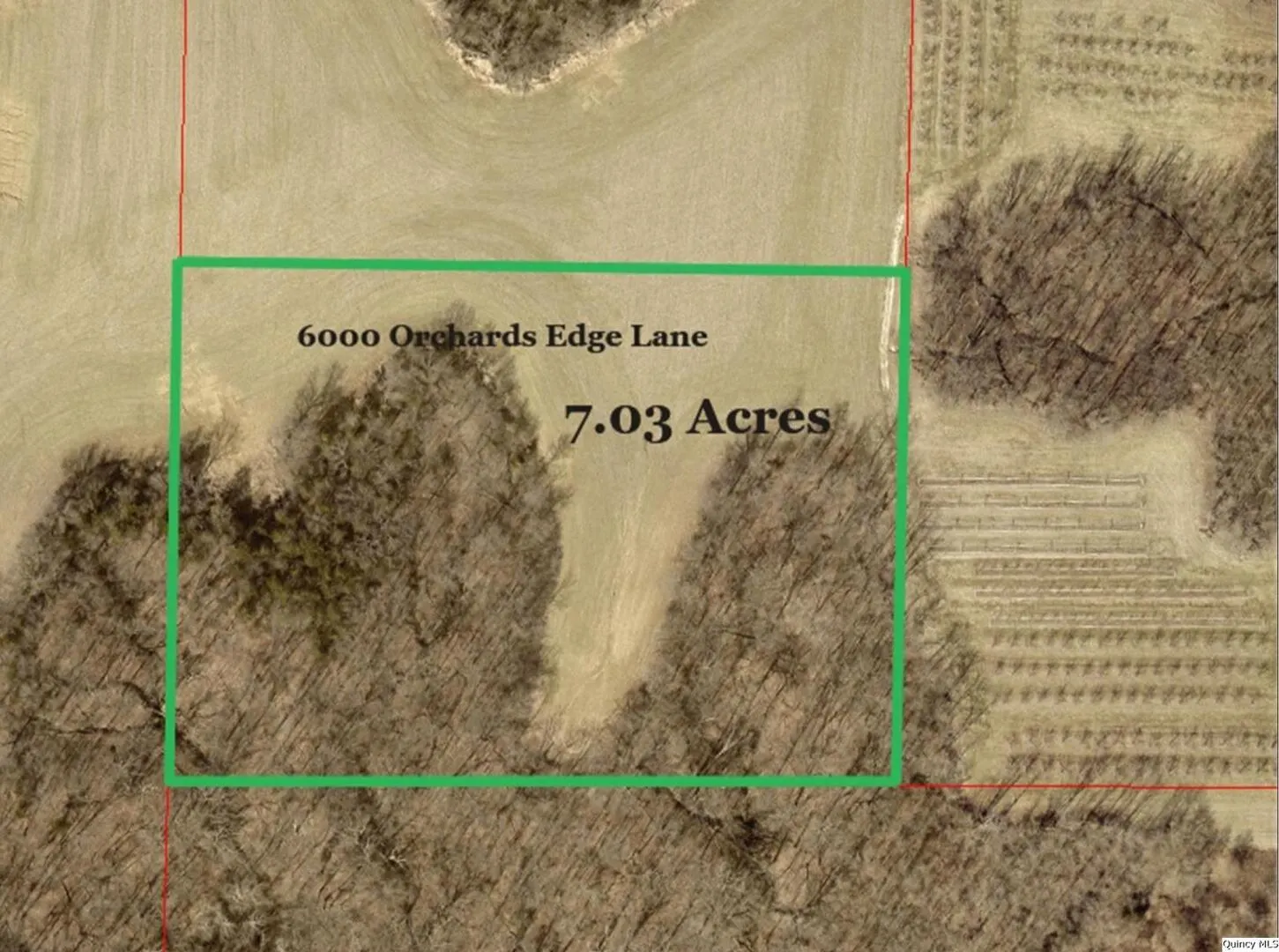6000 Orchards Edge Lane IL