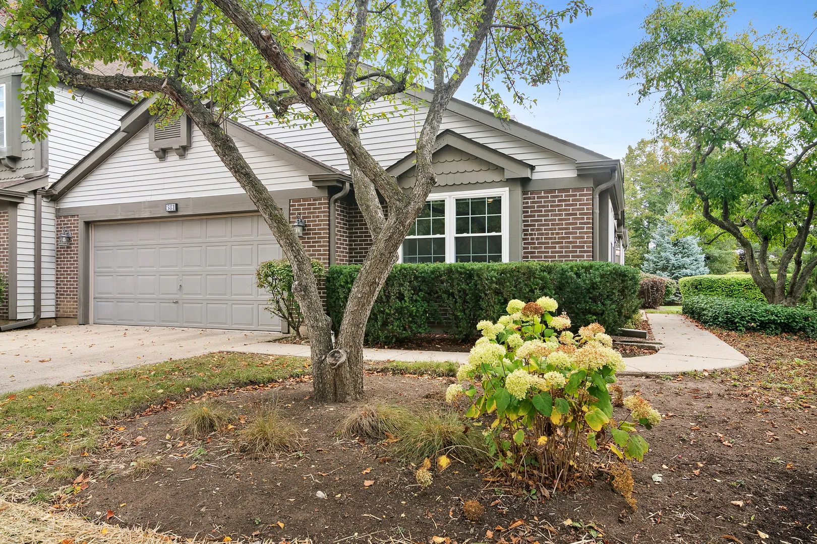 381 BENTLEY Place IL