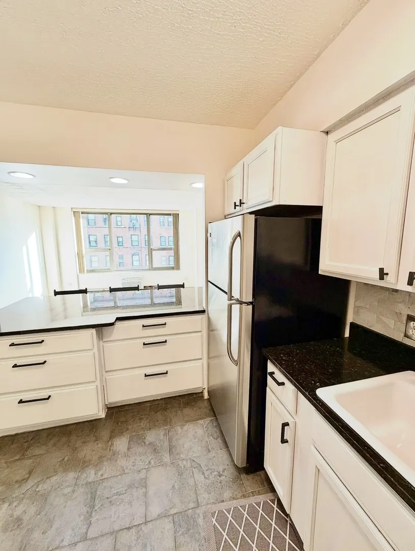 1550 N Lake Shore Drive 9F IL