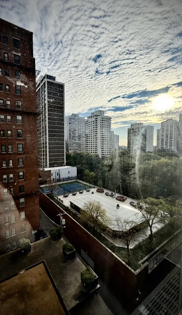 1550 N Lake Shore Drive 9F IL