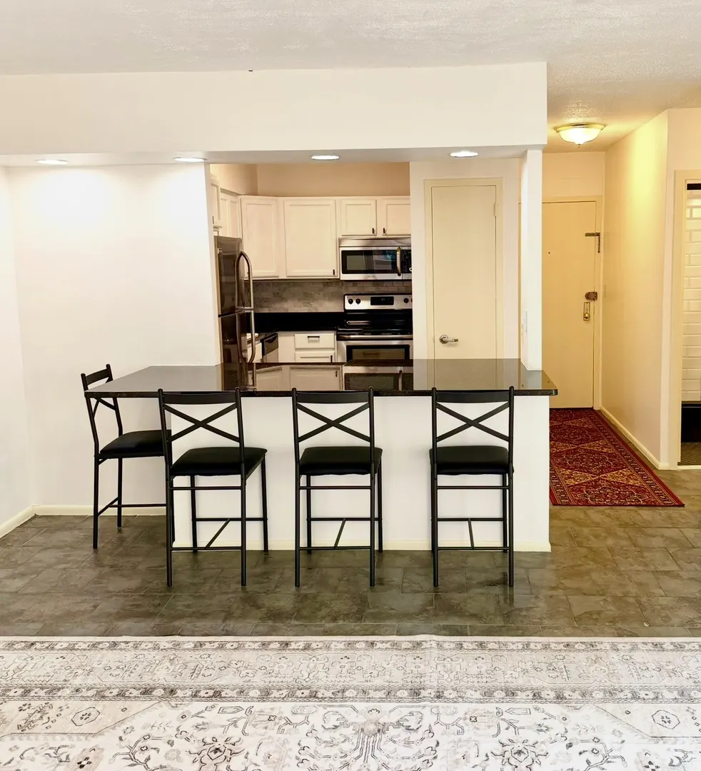 1550 N Lake Shore Drive 9F IL