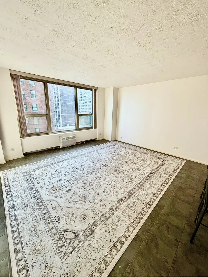 1550 N Lake Shore Drive 9F IL