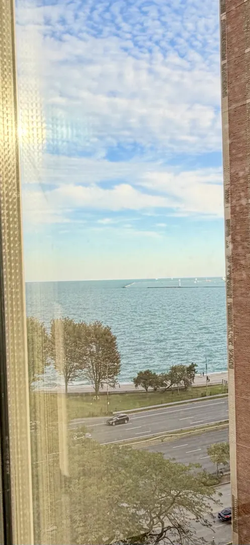 1550 N Lake Shore Drive 9F IL