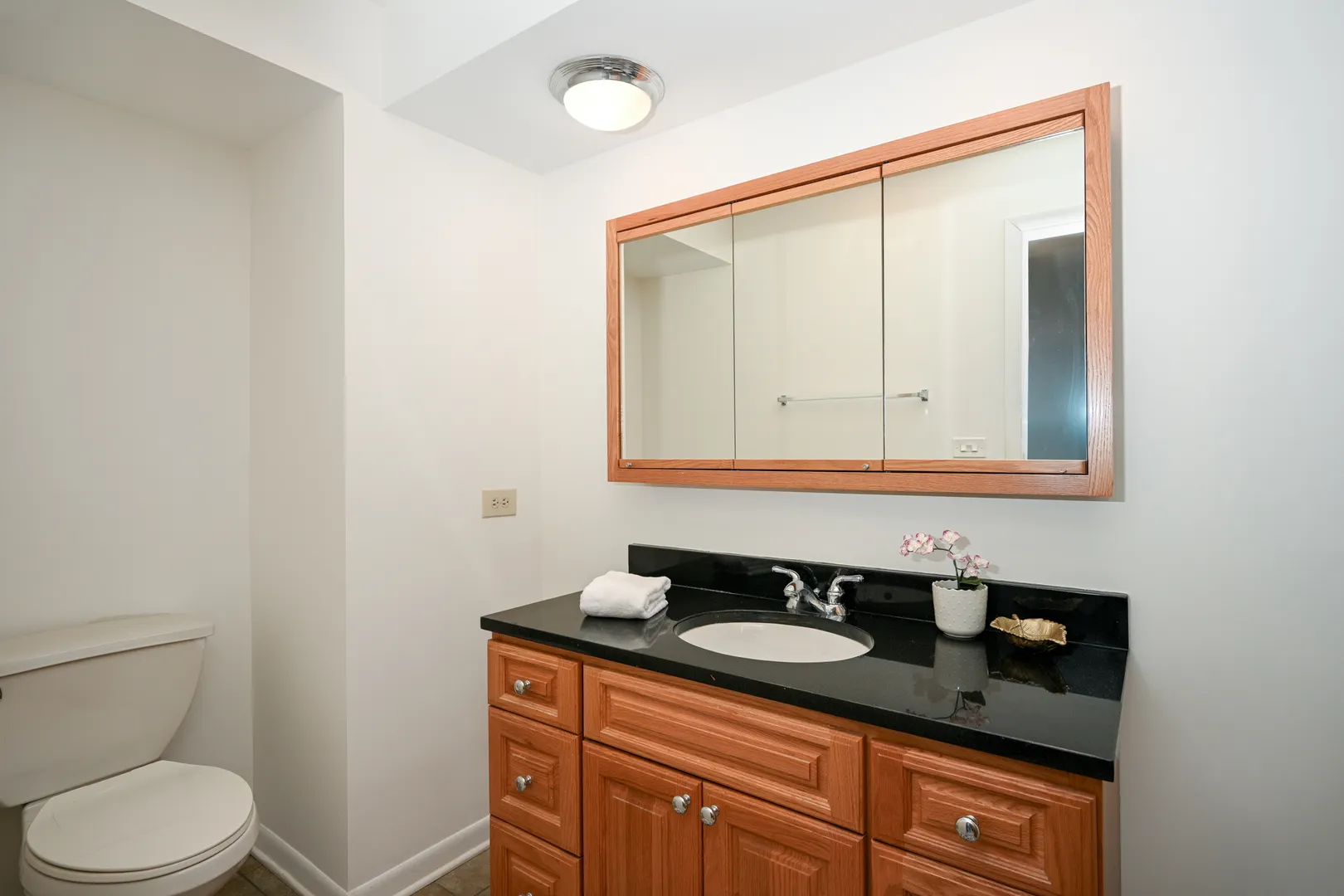 441 N Park Boulevard 5K IL