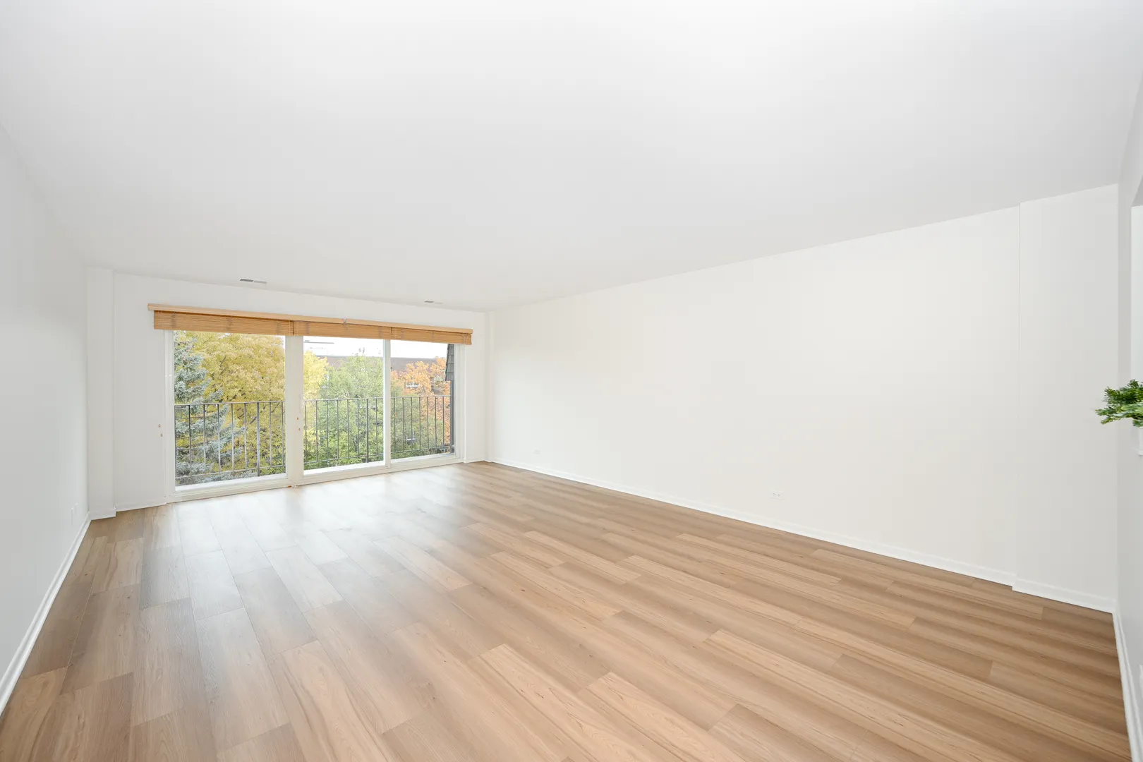 441 N Park Boulevard 5K IL