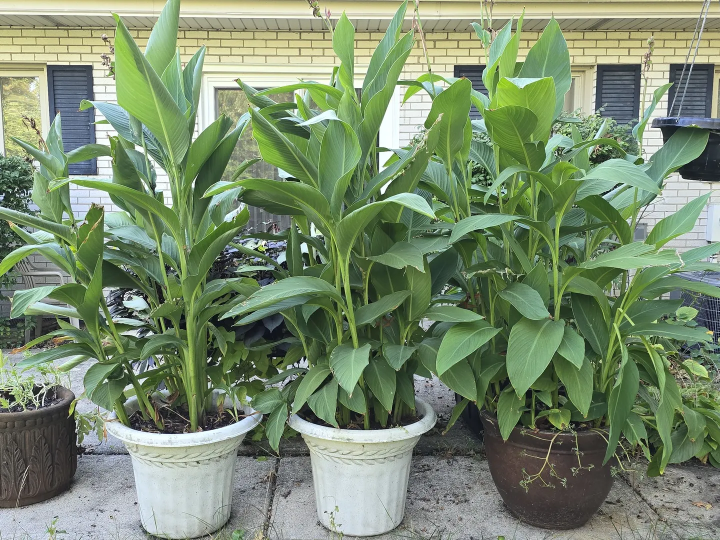 20535 Marathon Court IL