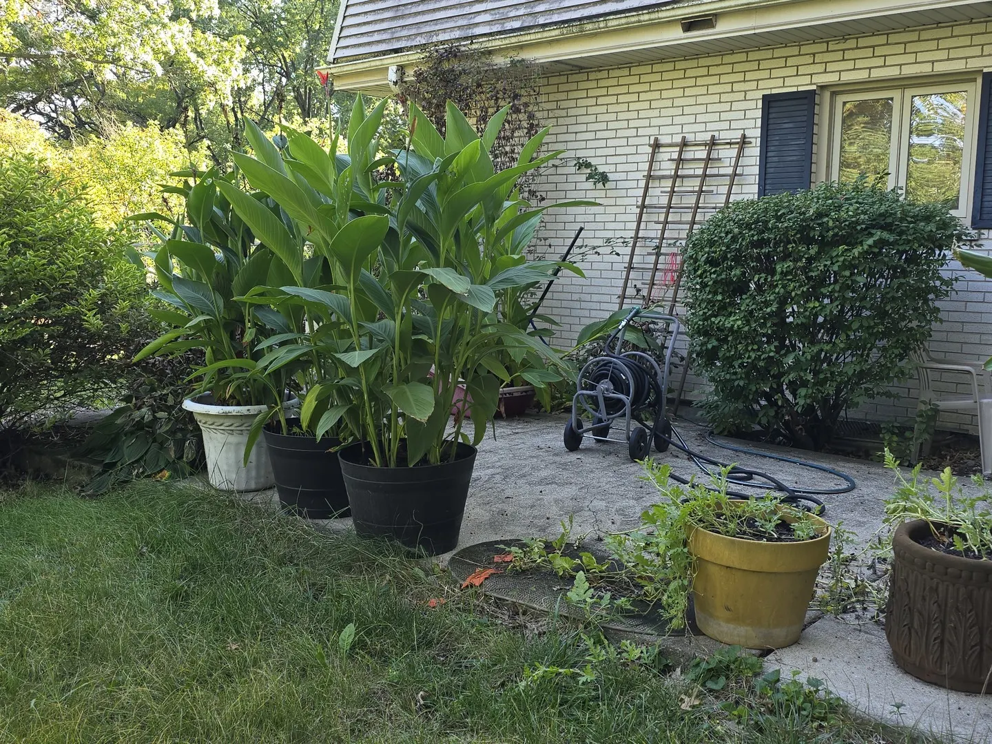 20535 Marathon Court IL