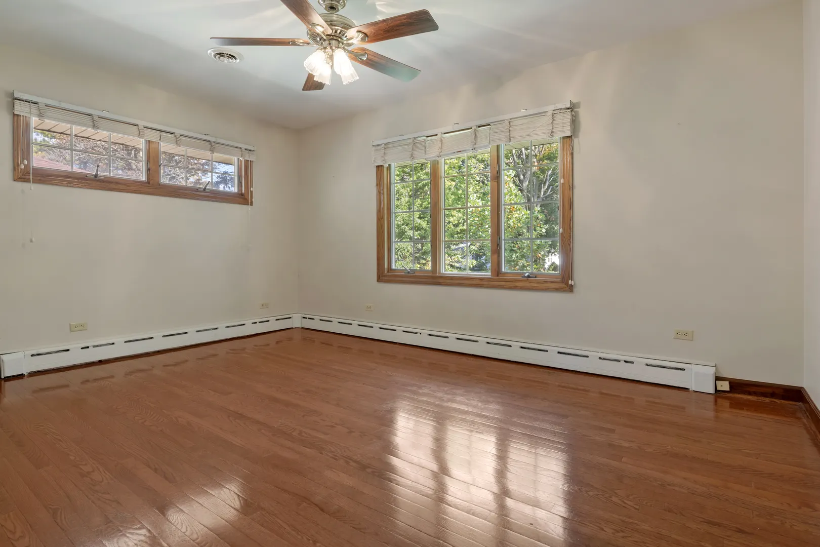 240 Scott Avenue IL