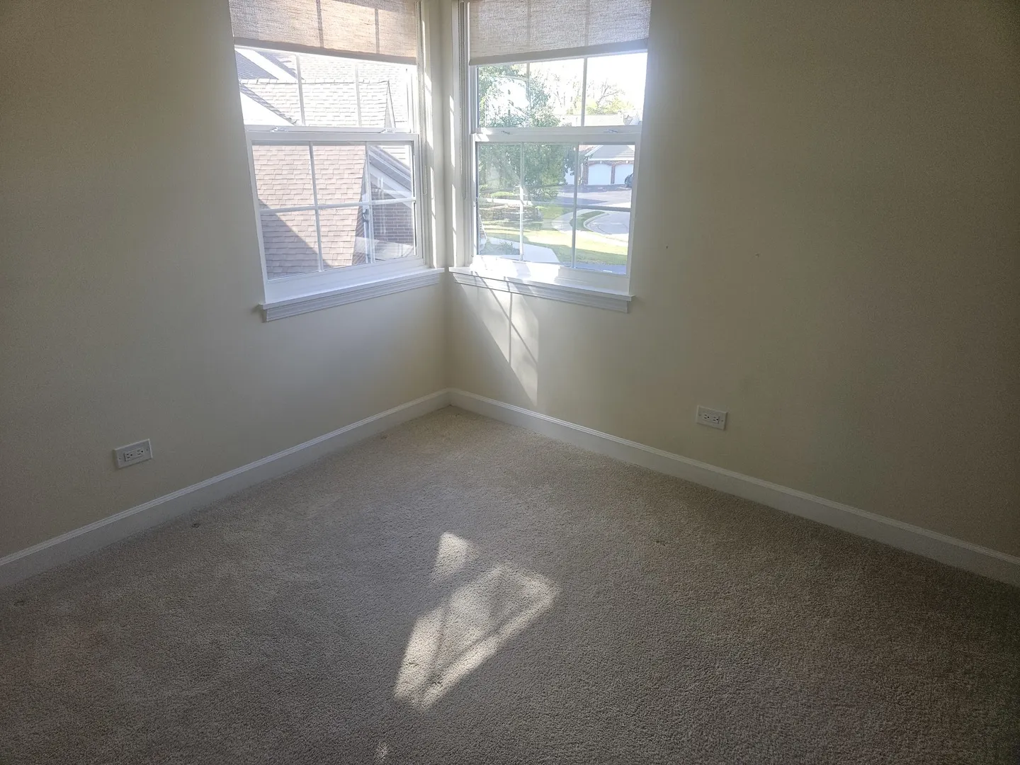 1173 St Andrews Court 1173 IL