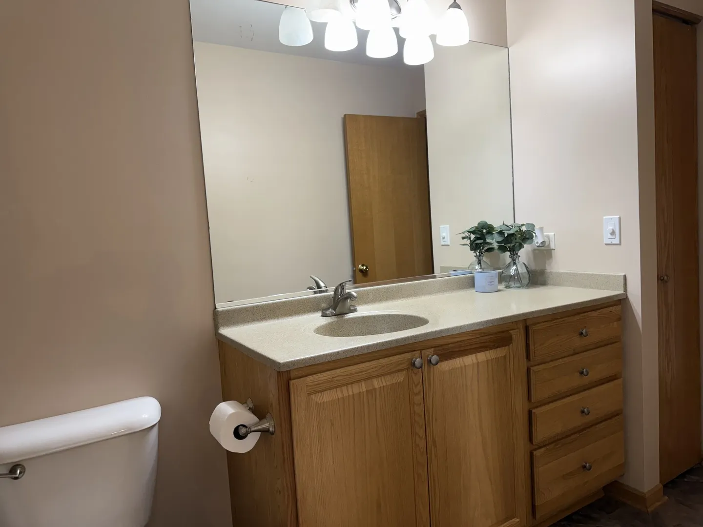 729 River Edge Circle IL