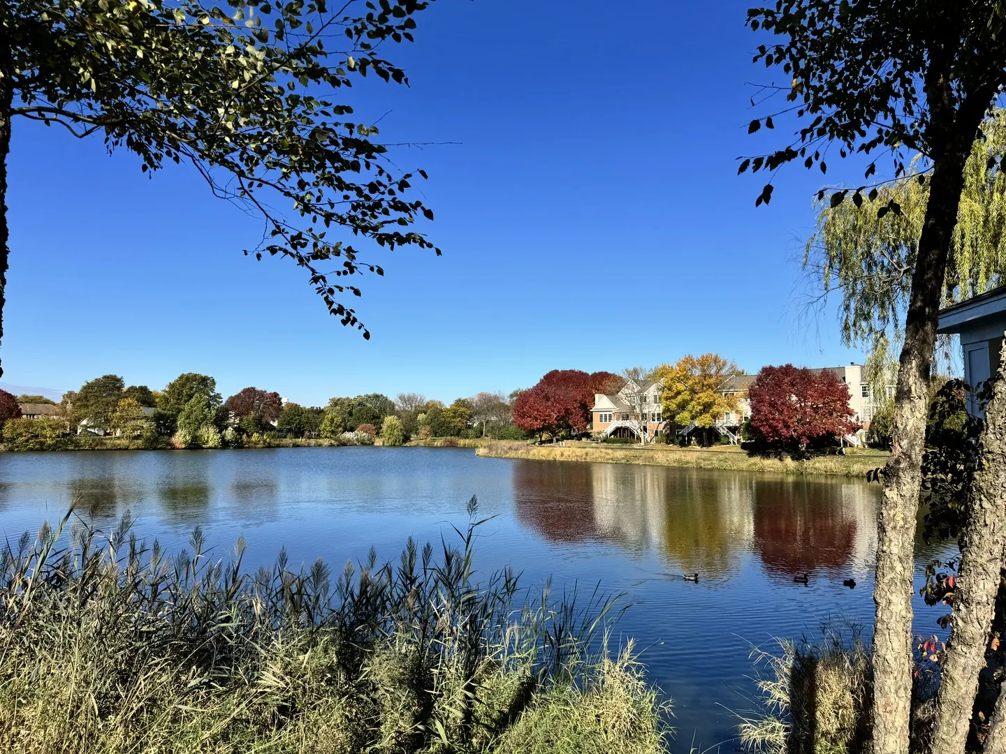 1778 Briggs Court IL