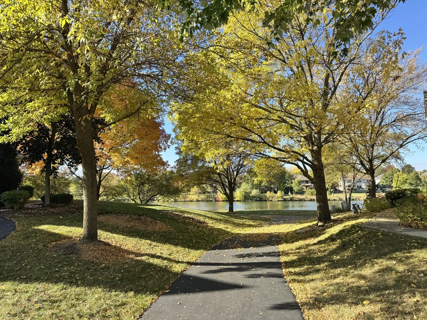 1778 Briggs Court IL