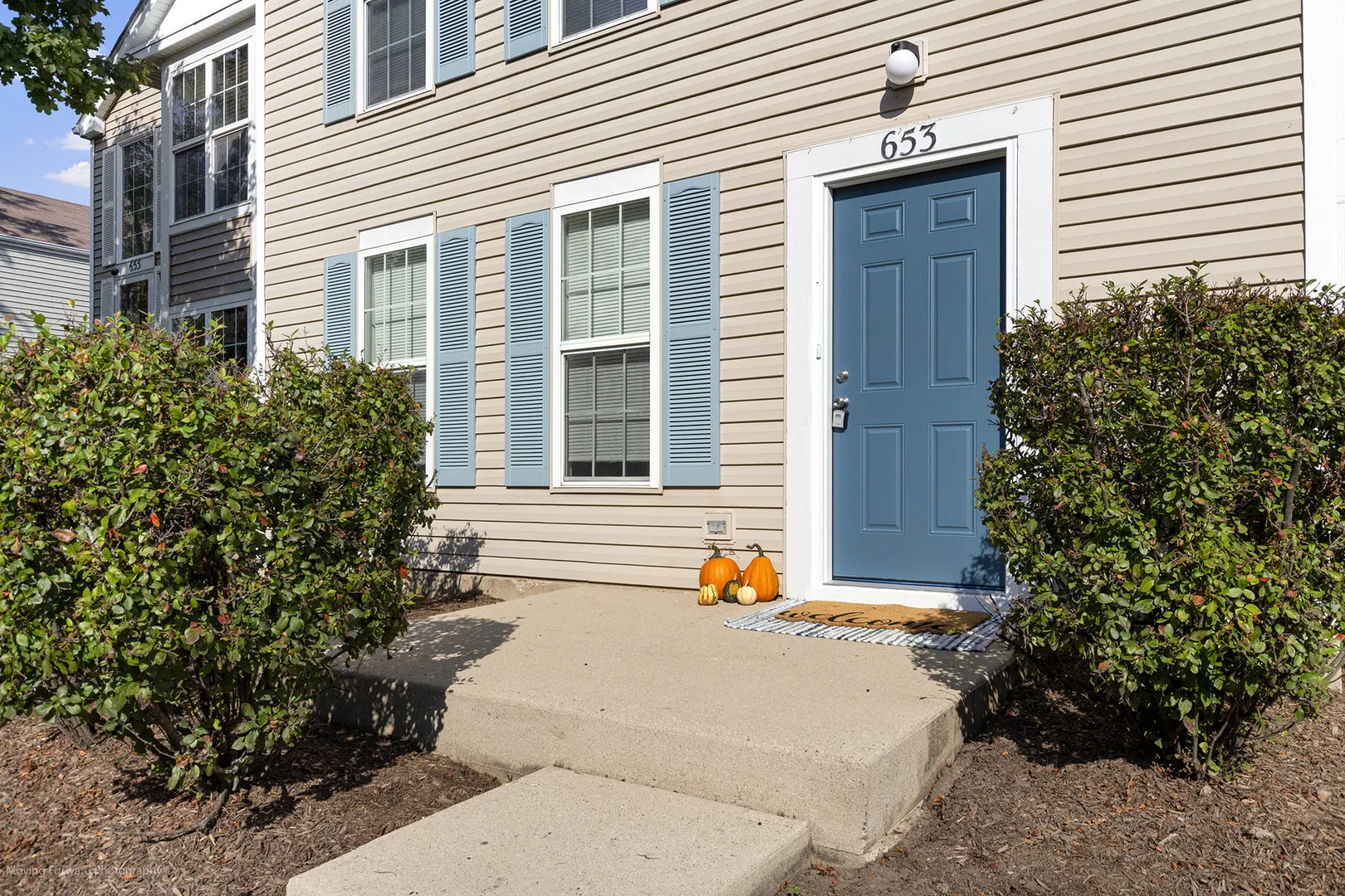 653 Serendipity Drive 0 IL