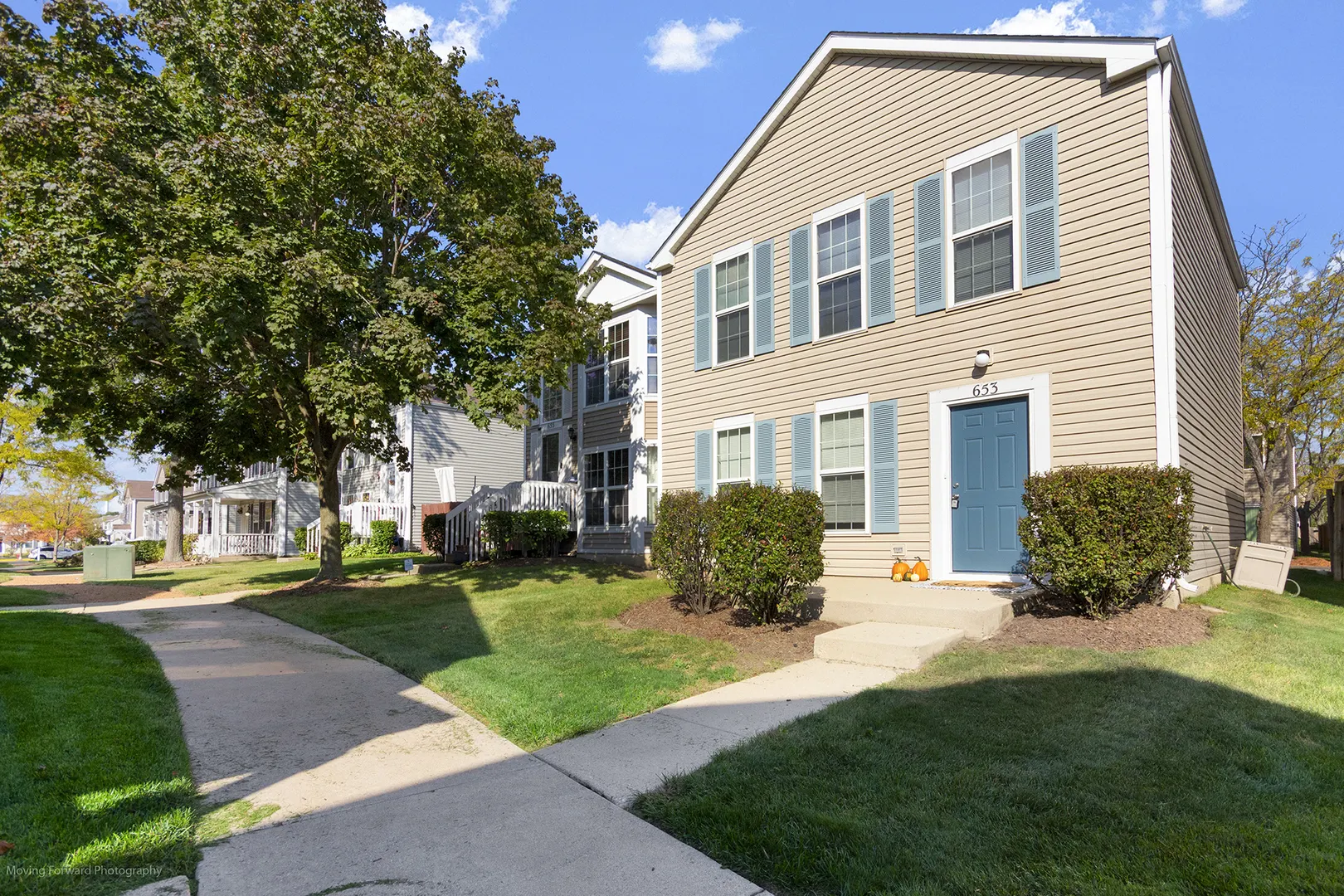 653 Serendipity Drive 0 IL