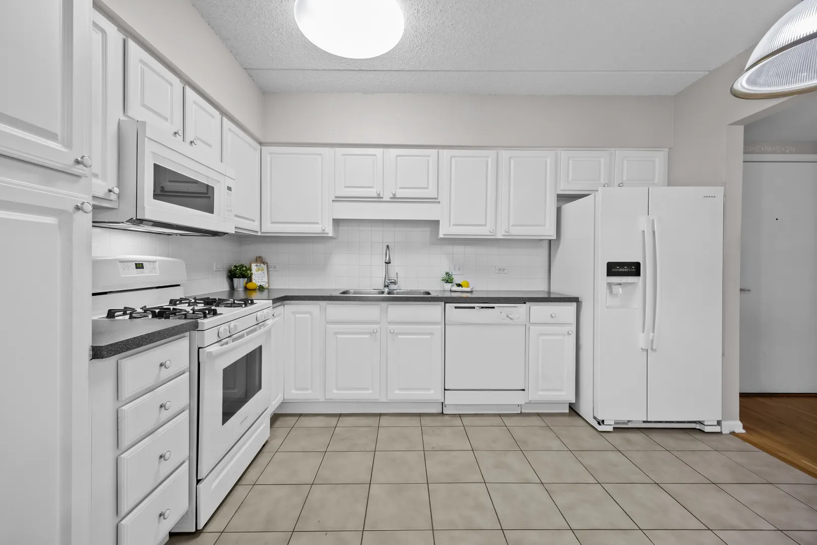 20 S MAIN Street 301 IL