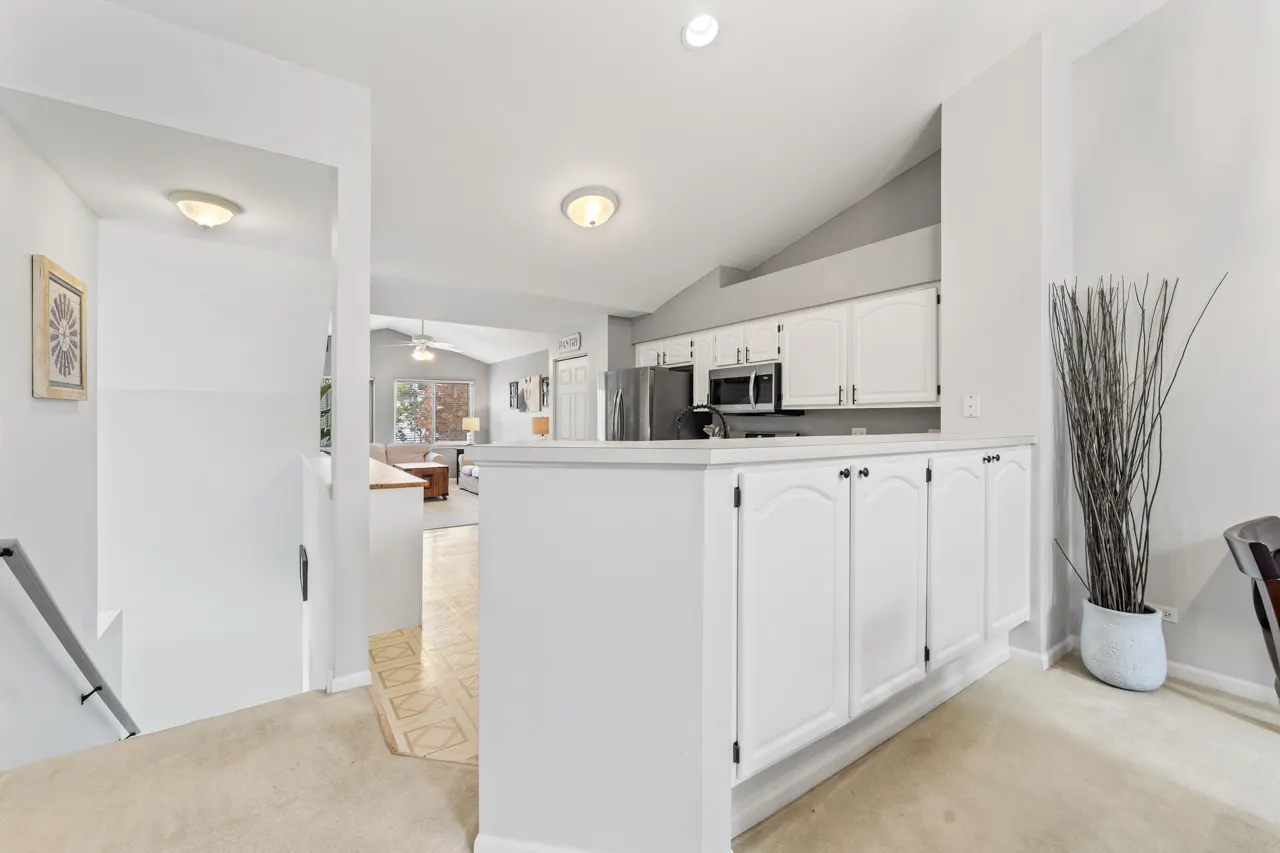 217 Sierra Pass Drive IL