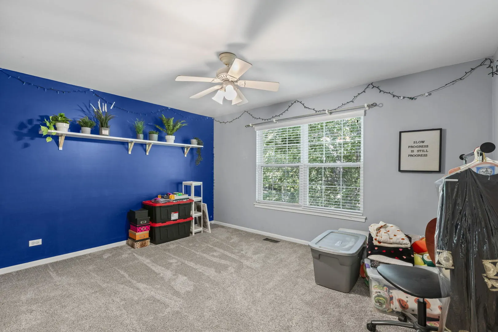 25205 Pastoral Drive IL