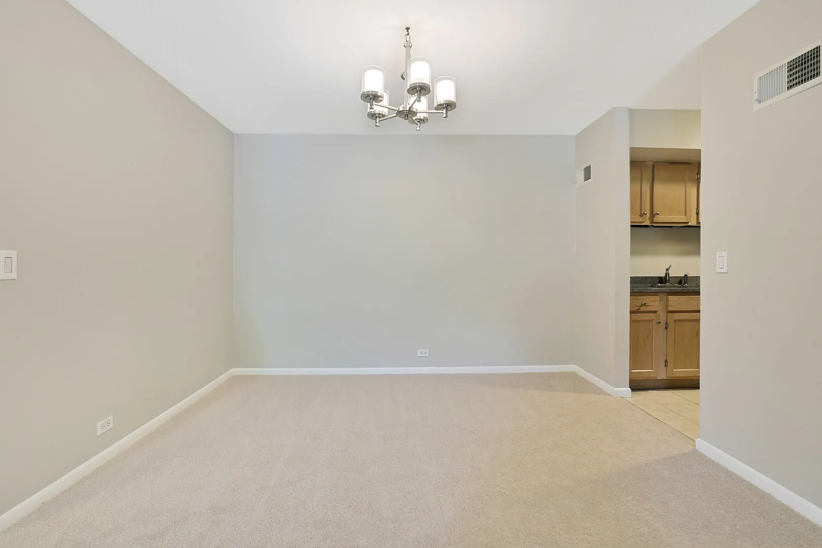 520 Shorely Drive 203 IL