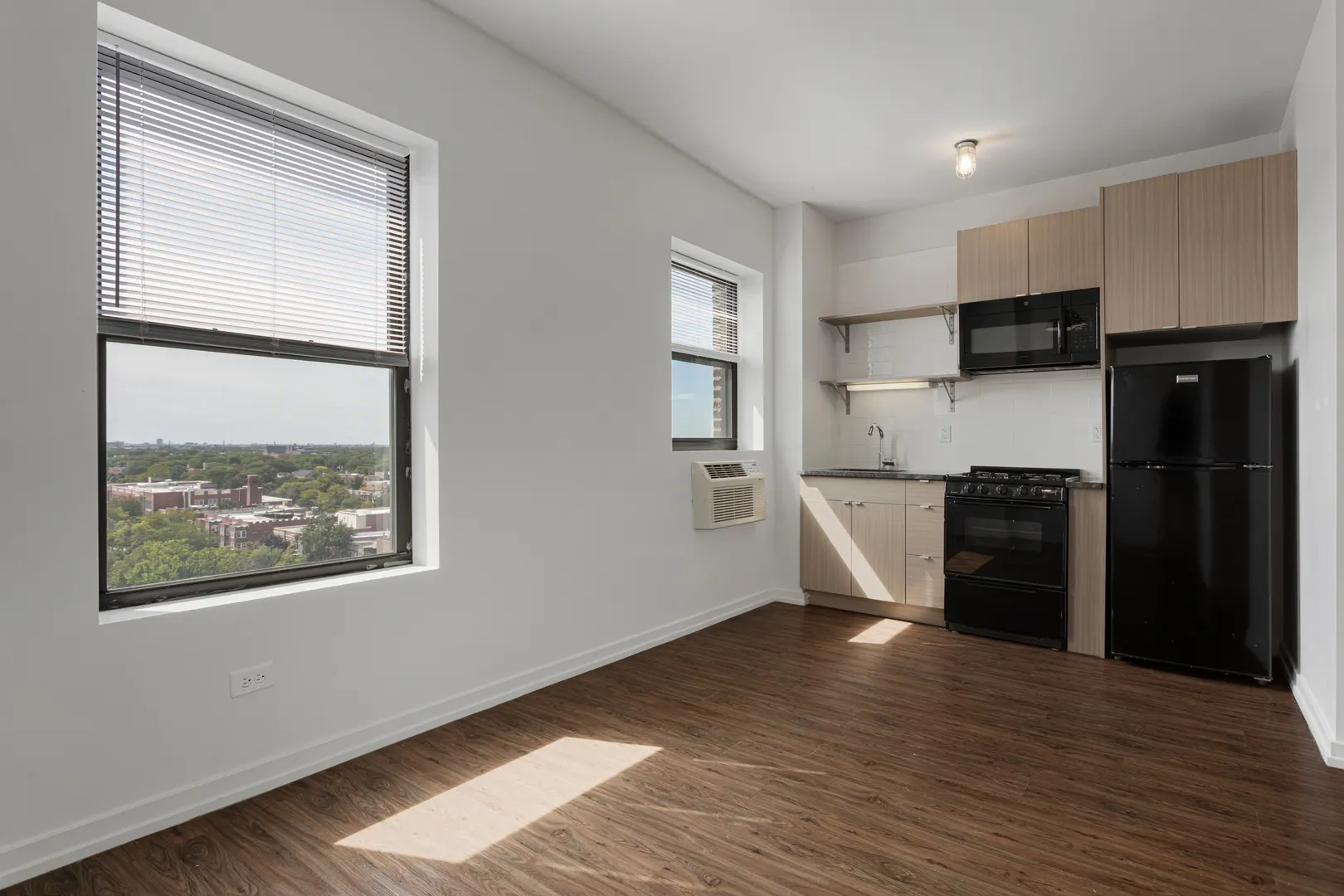 1325 W Wilson Avenue 1003 IL