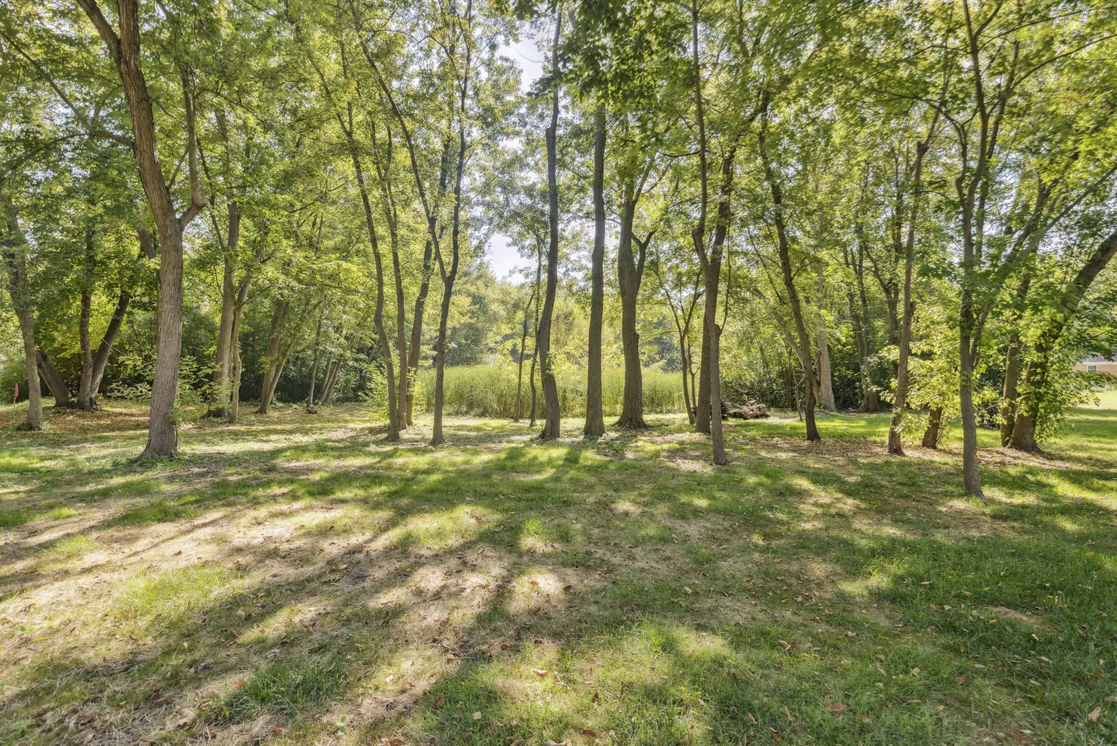 25455 W Greenview Avenue W IL
